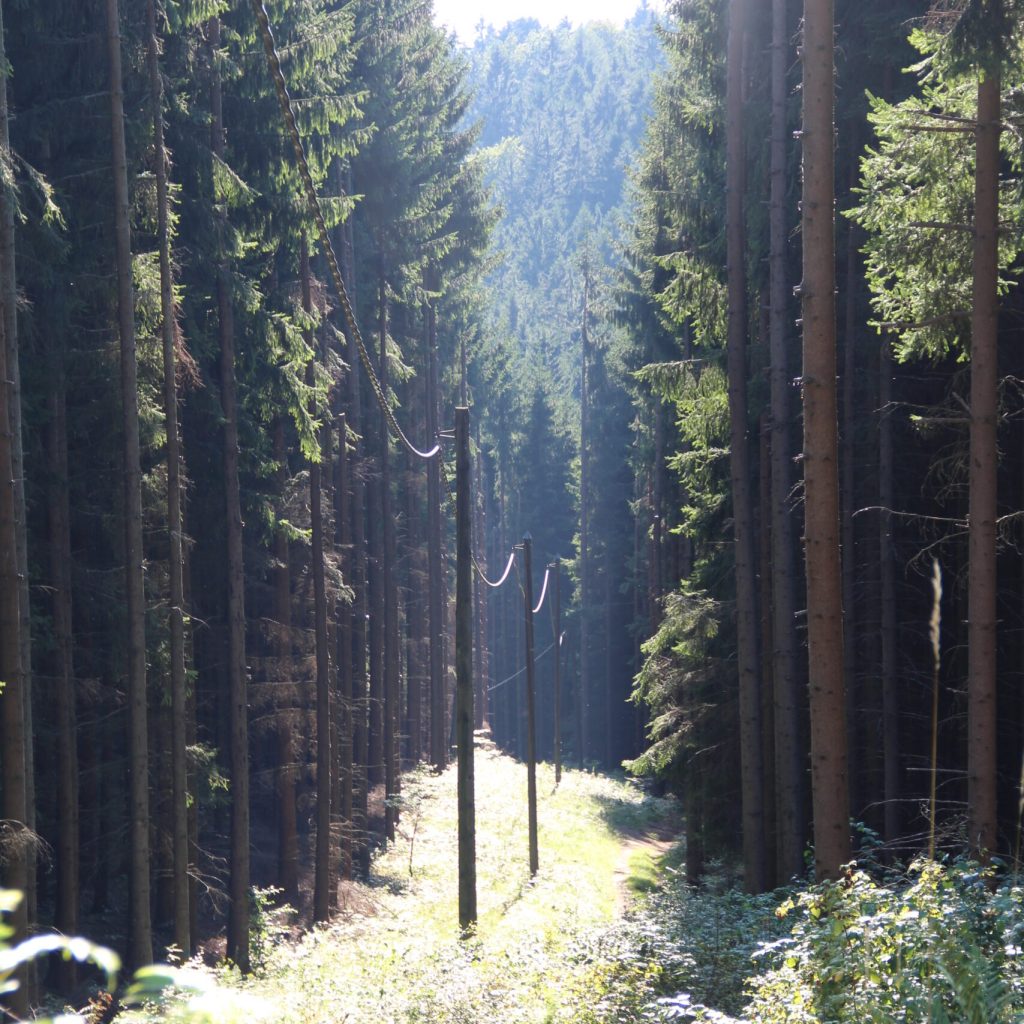 Prześwit - kable z Maûilarē Tuorē