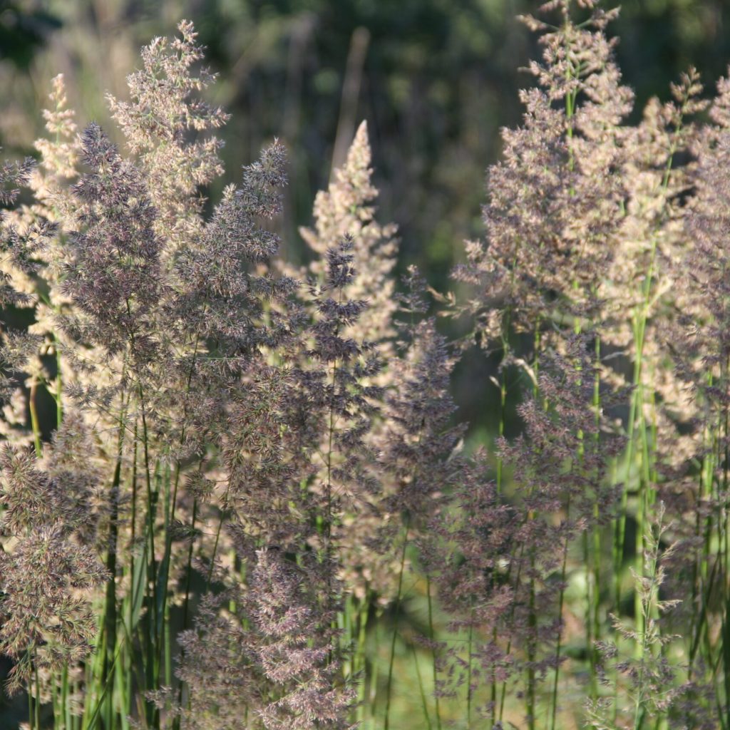 'Puchatki na patyku' 😊