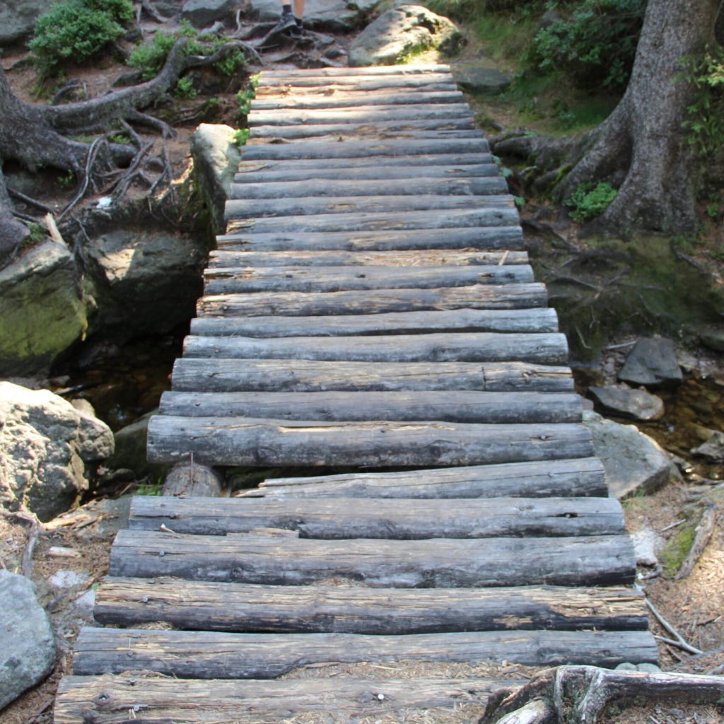 Tu Clara wylała swój eliksir