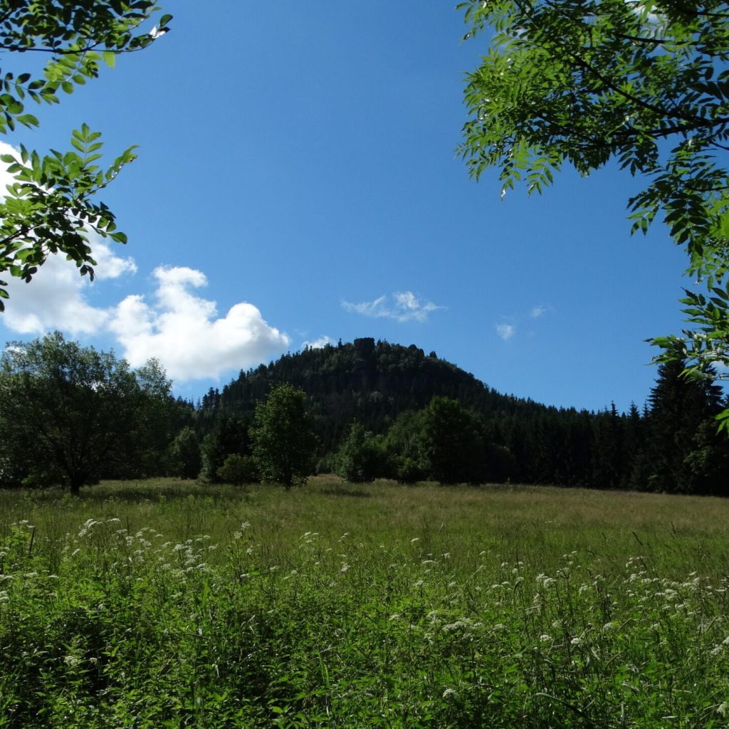 Przyroda ukryła dawny zamek