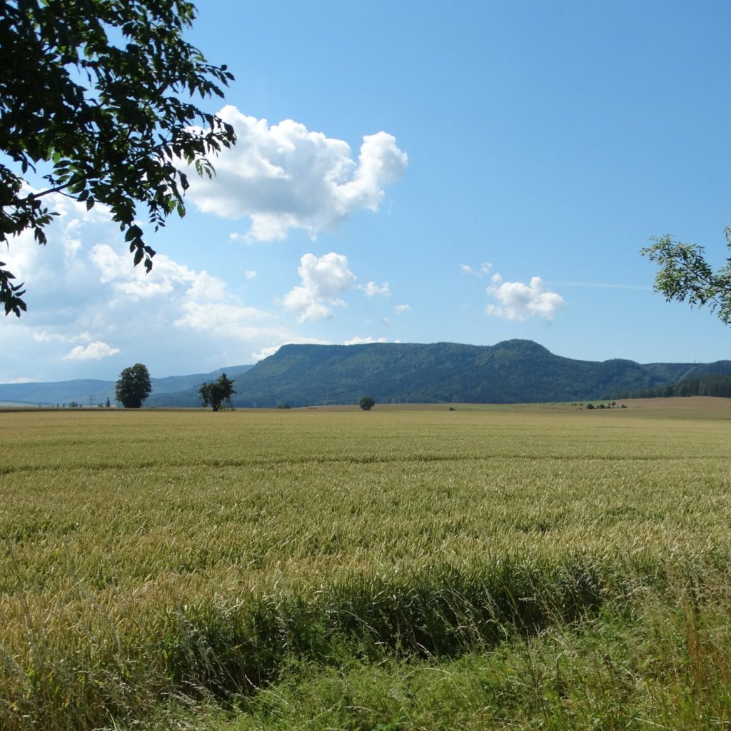 Dawniej zalany teren Hûraderiy