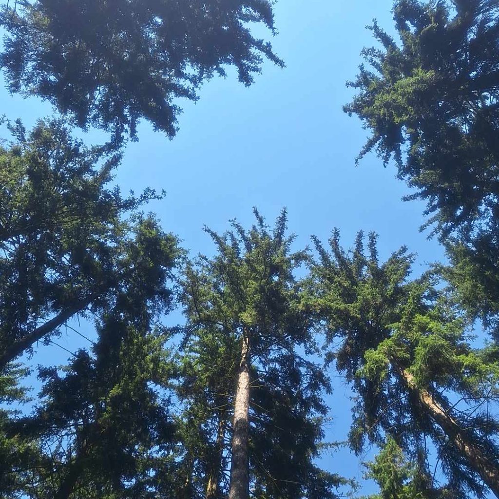 Odpoczynek z widokiem