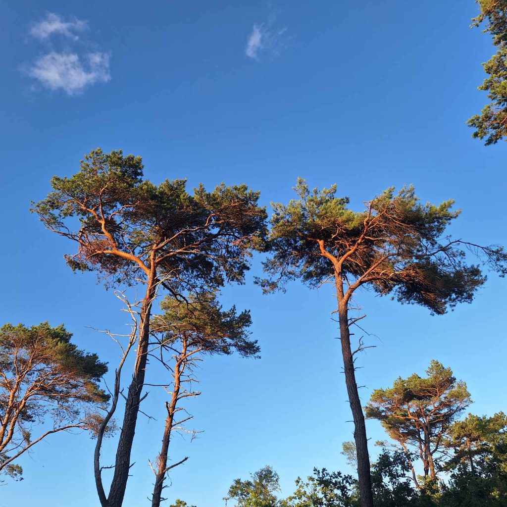 Przypomina ciepłą przyszłość