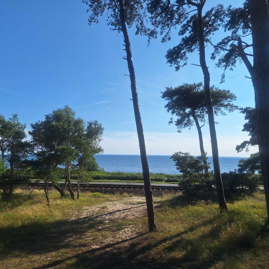 Pociągiem wszędzie jest blisko