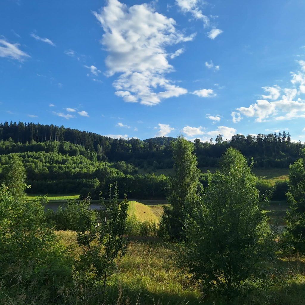 Idealne miejsce na szklane wieżowce