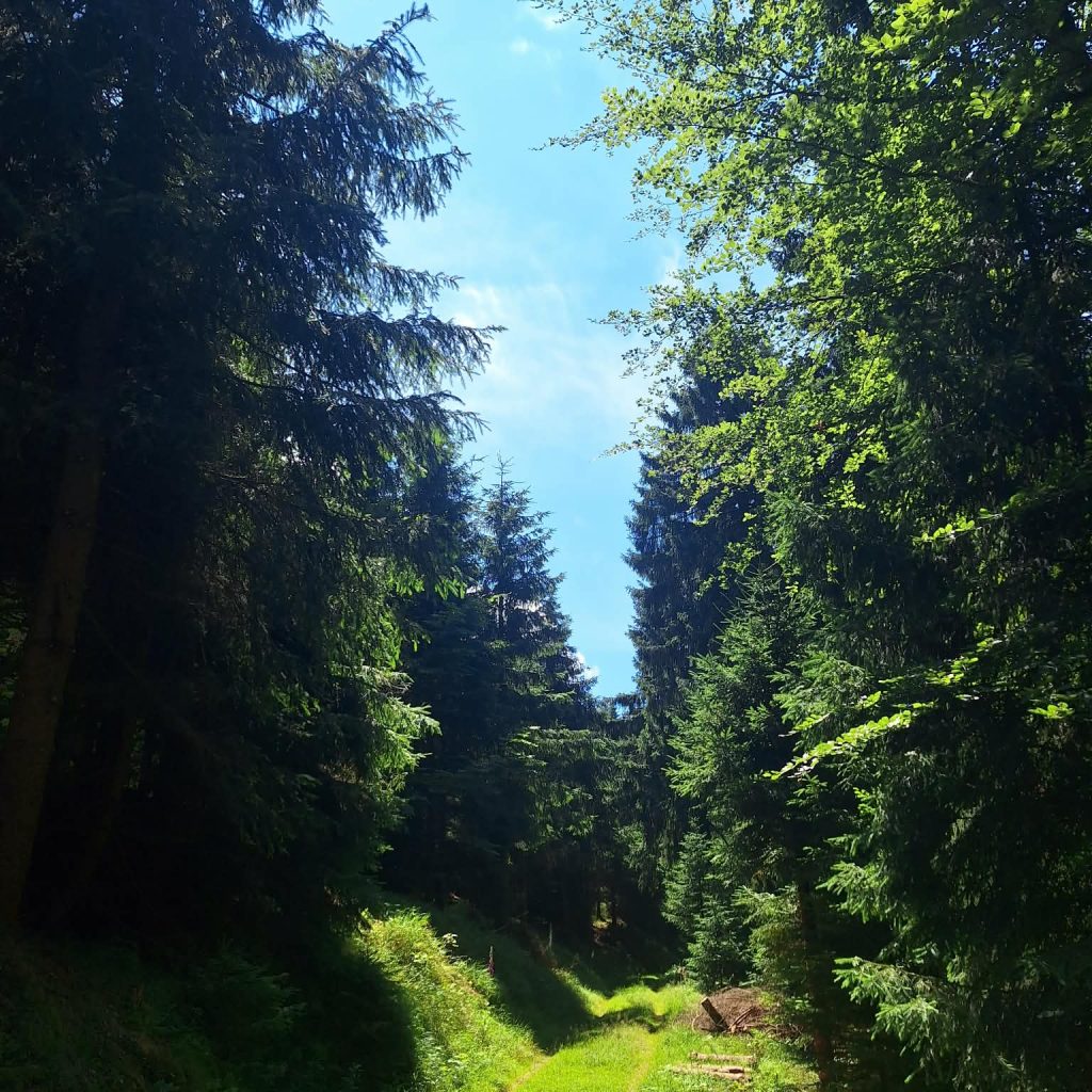 Tu jest bardzo przytulnie