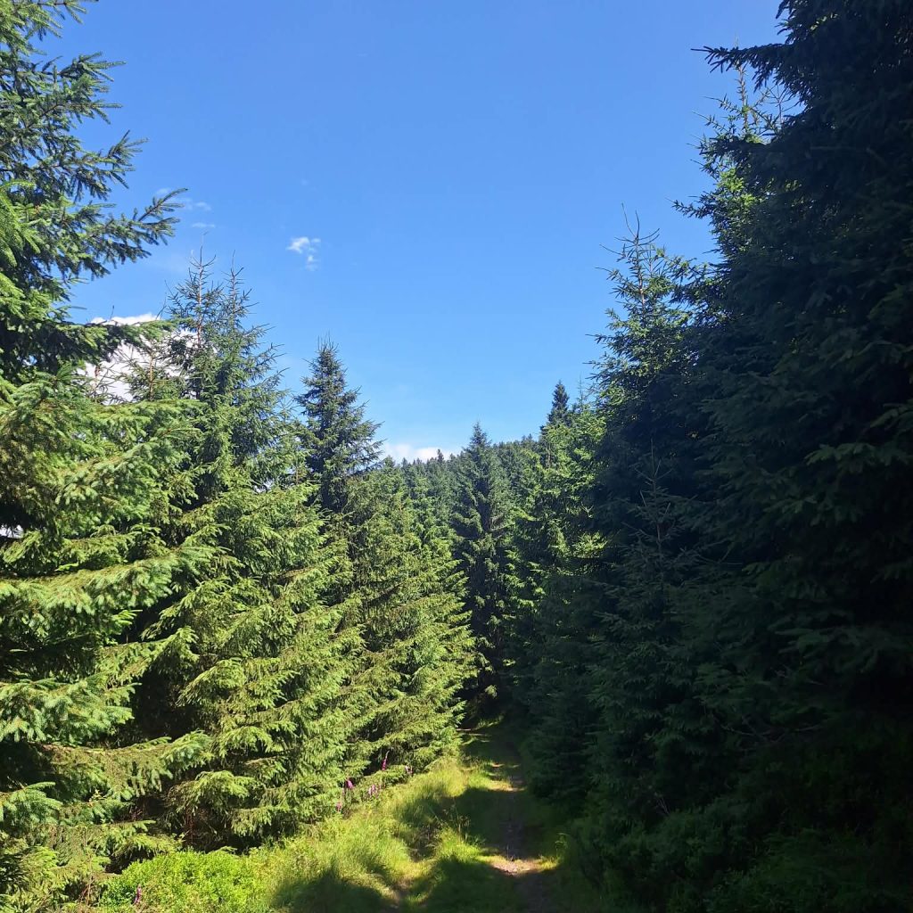 A tu można się zgubić