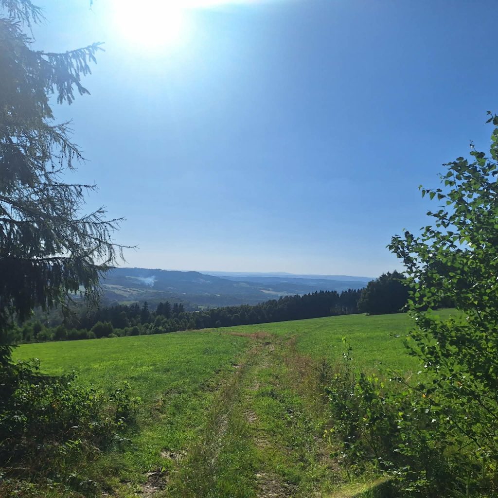 Ukochana łąka Autorki